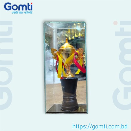 10 inc_ Glass And Plastic Cricket Mini Trophy_7824