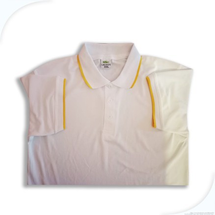 LOCASTE Polo Jersey For Men_White_5253