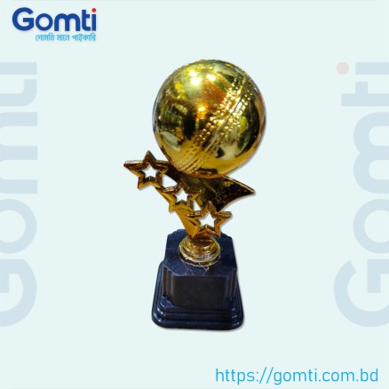 6inc_Cricket Tournament Gold Trophy_10016