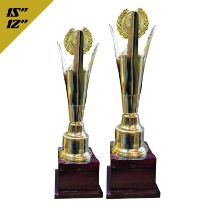 Trophy [12’’and 15''] for Sports tournaments_10039