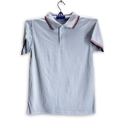 PK Polo Ash Color Jersey For Men _ 5125