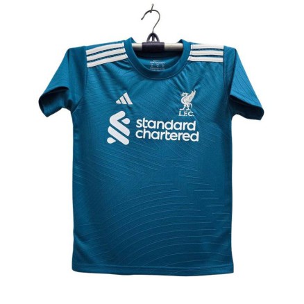 Liverpool Embroidery Football Jersey For Boy_3853