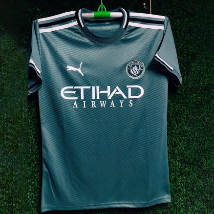 Manchester City Golgola Embroidery Football Jersey  For Men_3011