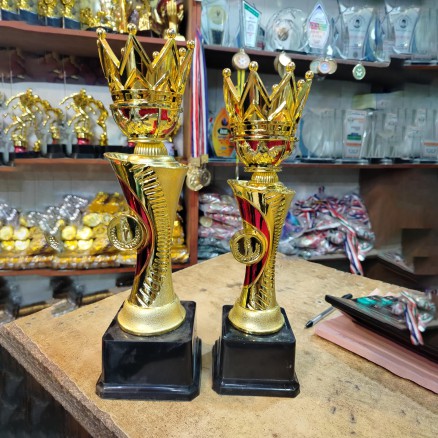 Gold Trophy 12’’ ‍and 13'' for Sports tournaments_10045