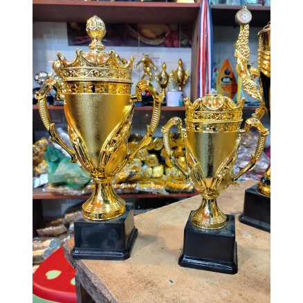 Gold Trophy 11’’ ‍and 13'' for Sports tournaments_10048